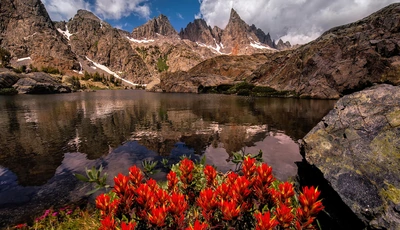 Image: Горы, вода, озеро, отражение, цветы, растения, небо, облака