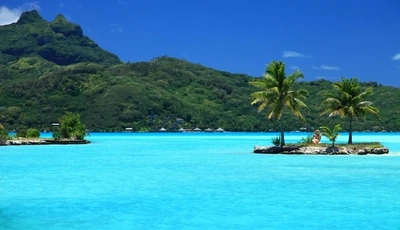 Image: природа, пальмы, море, остров, тропики
