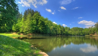 Картинка: природа, лес, озеро, озеро в лесу, лесное озеро, трава