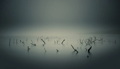 Картинка: Болото, туман, ветки, озеро, вода, корни