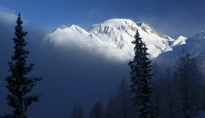 Картинка: Пейзаж, горы, снег, туман, освещение, хвойные деревья