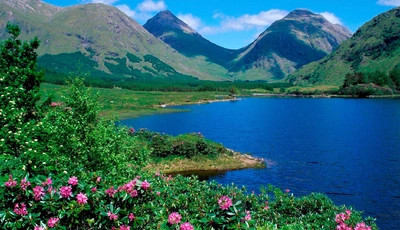 Картинка: природа, озеро, горы, цветы