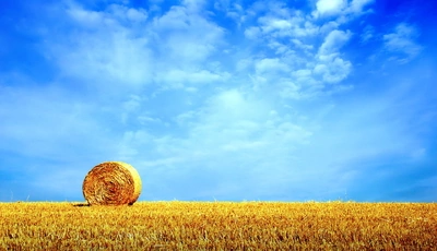Image: hay, sky, nature