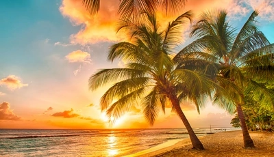 Image: Tropics, palm trees, sky, sea, sand, sunset
