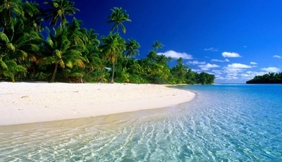 Картинка: природа, пальмы, песок, тропики, море