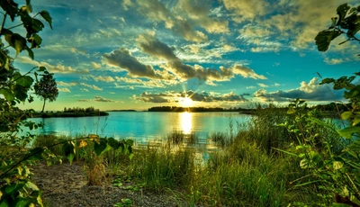 Image: Лето, озеро, вода, деревья, трава, зелень, облака, небо, солнце, закат