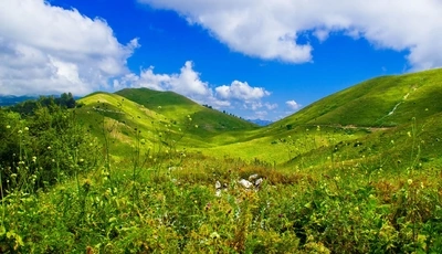 Картинка: природа, трава, зелень, небо, холмы, облака