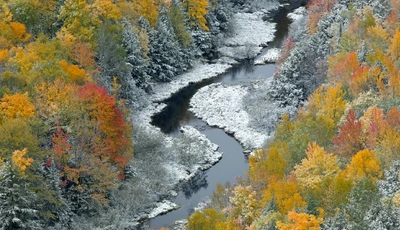 Image: Fall, winter, foliage, river, water