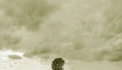 Image: дерево, человек, небо