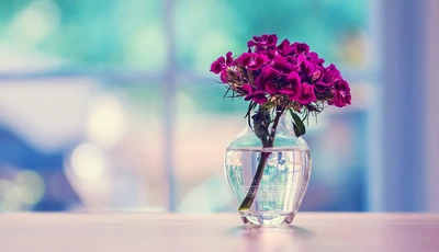 Image: Цветы, букет, гвоздика, ветка, ваза, вода