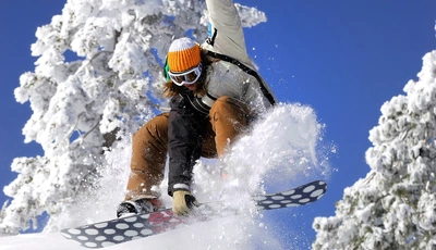 Картинка: Сноуборд, сноубордист, в прыжке, снег, день, деревья, зима