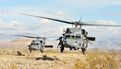 Image: Military helicopter, Sikorsky UH-60 Black Hawk, Black hawk, blades, flying, shadow, branches