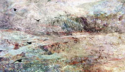 Image: Birds, seagulls, Wallpaper, background, sea