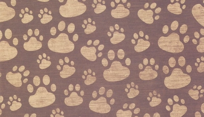 Image: Footprints, imprint, paws, brown background