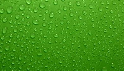 Image: Drops, water, background, green