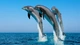 Картинка: Удачный кадр с тремя дельфинами