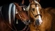Картинка: Две красивые лошади