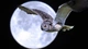 Картинка: Сова летит на фоне большой луны