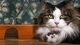Картинка: Кошка с мышкой сидят возле норки