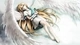 Картинка: Девушка Inazuma Eleven в облике ангела