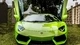 Картинка: Суперкар Lamborghini Aventador LP 700-4 стоит на лужайке с открытыми дверями