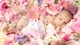 Картинка: Малыш лежит в цветах