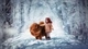 Картинка: Девочка и собака в снежном лесу
