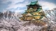 Картинка: Замок в Осаке и цветущая сакура
