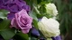 Картинка: Красивые розы нежных оттенков