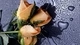Картинка: Розы лежат на фоне из водяных капель