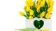 Картинка: Жёлтые тюльпаны в вазе