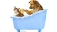 Image: The dog in the tub washes the back of a cat