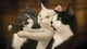 Картинка: Три кота делают селфи