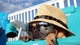 Image: Dog in hat and glasses resting on a sun lounger