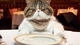 Картинка: Кот за столом ждёт своего обеда