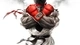 Картинка: Боец Ryu из игры Street Fighter V