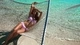 Картинка: Клара Алонсо в розовом бикини лежит в гамаке на берегу моря