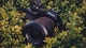 Картинка: Фотоаппарат Sony в траве