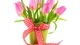 Картинка: Букет розовых тюльпанов на белом фоне