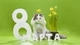 Картинка: Поздравление с 8 Марта от пушистого кота с зелёным бантом. 