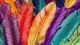 Картинка: Разноцветные перья