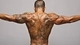 Картинка: Татуированная спина мужчины