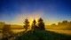 Картинка: Три ёлочки в поле на закате солнца