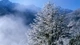 Картинка: Невероятная красота зимней природы с видом на горы