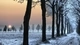 Картинка: Зимний закат в лесу
