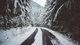 Картинка: Зимняя дорога в лесу