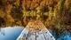 Картинка: Мостик на берегу речки усыпанный жёлтыми листьями