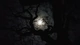 Картинка: Ночной свет от луны пробирается сквозь облака и кроны деревьев