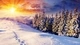 Картинка: Яркое солнце освещает хвою и снежные горы