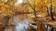 Картинка: Теплоход плывёт по реке в осеннем парке